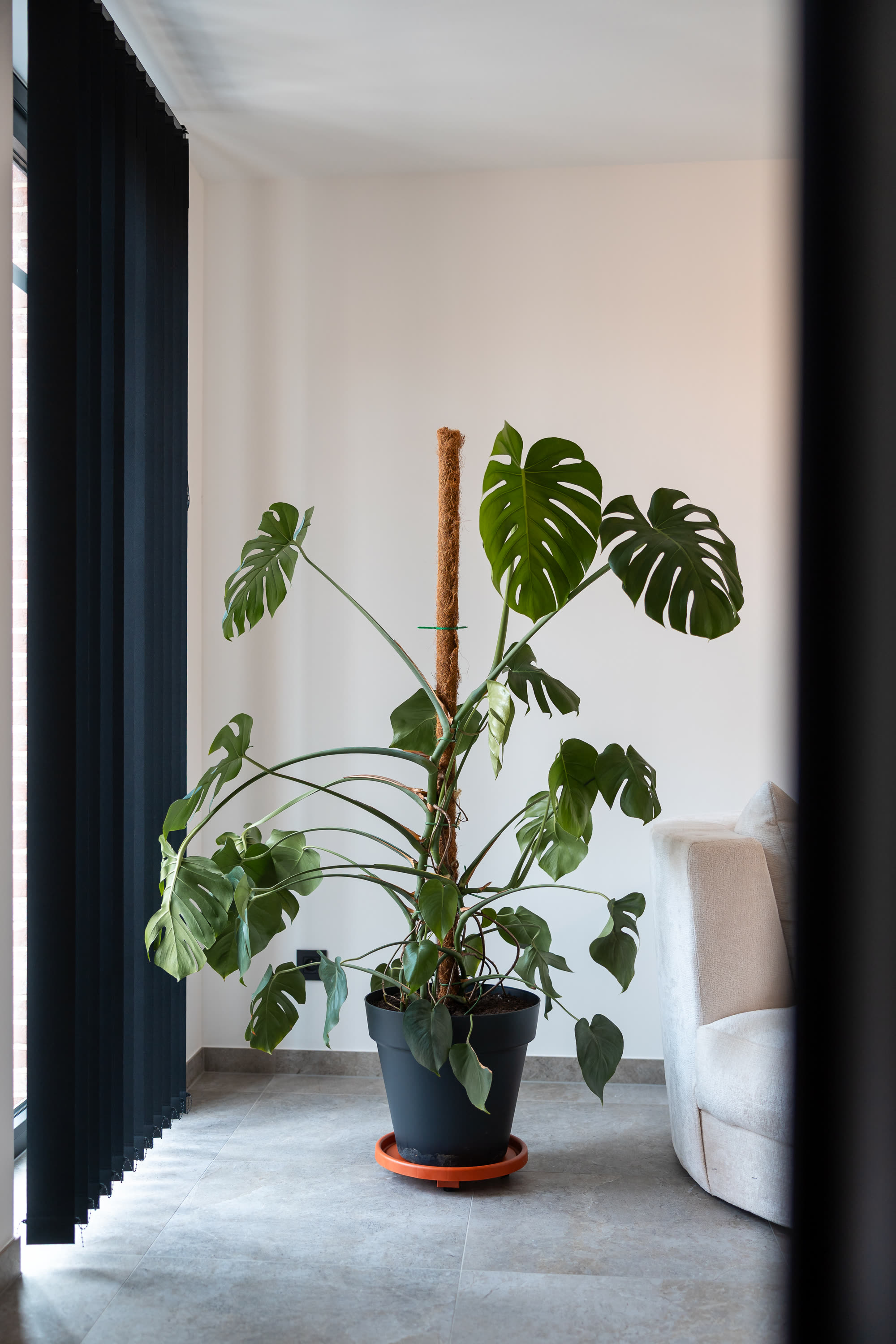 Horsey Valley — Woonkamer (foto 23)
