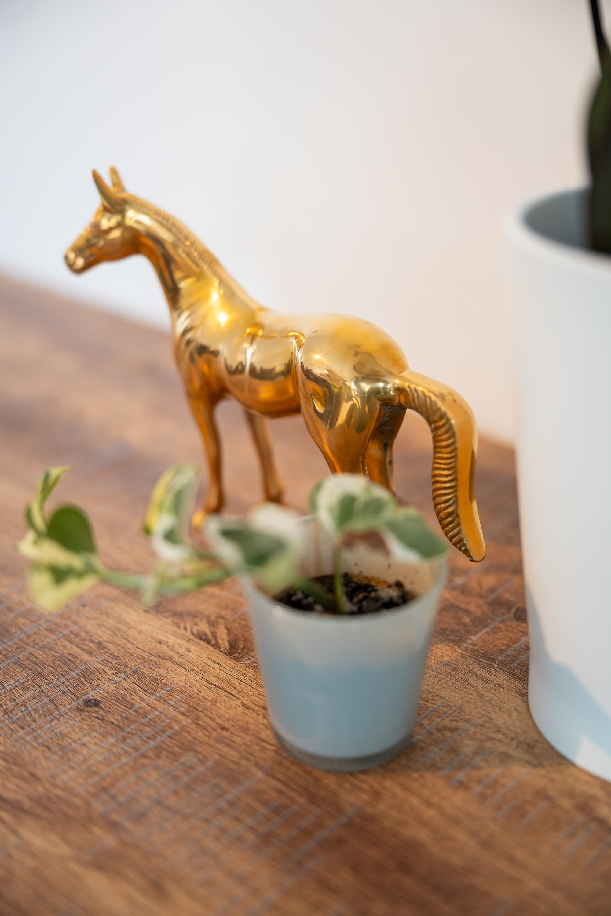 Horsey Valley — Keuken & eetkamer (foto 30)